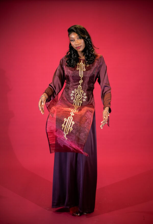 Prime dress en soie - Image 4